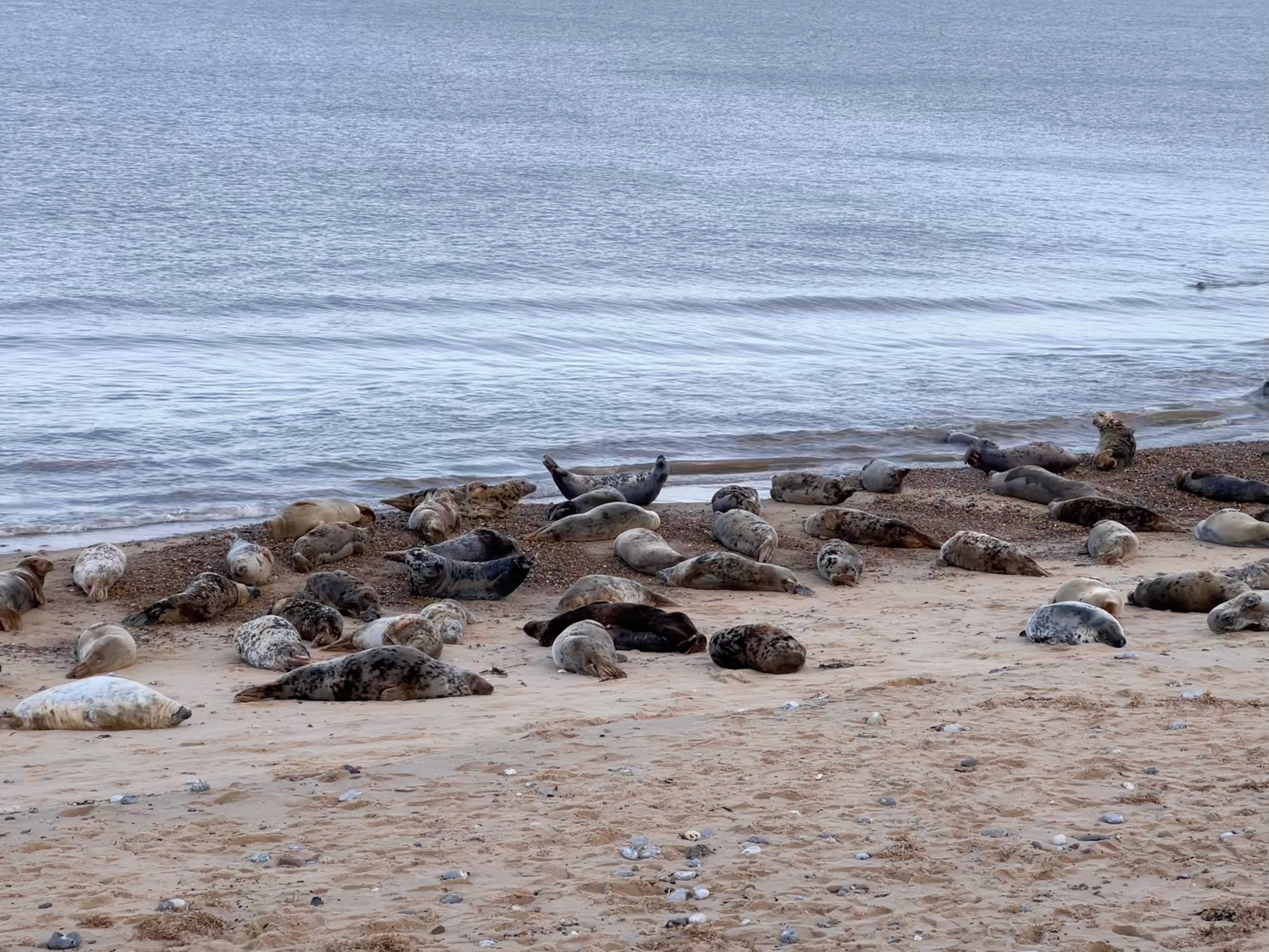 They don't move much