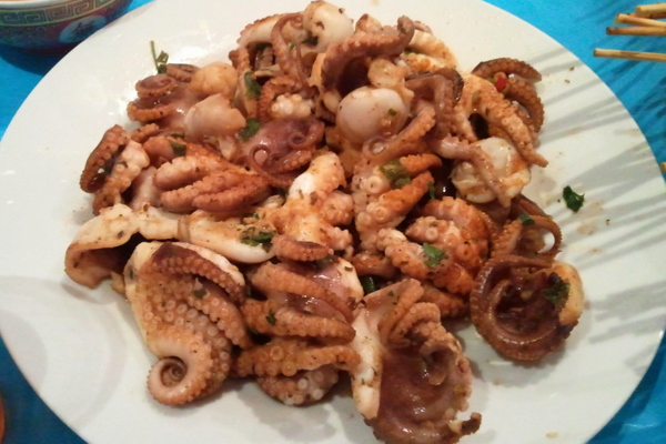 Octopus