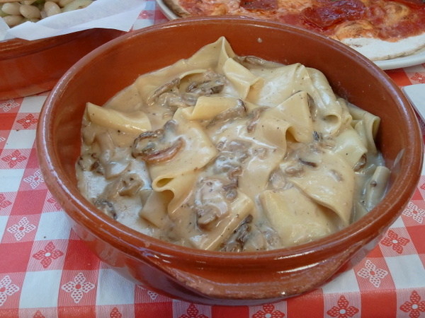 Pappardelle served in a light porcini mushroom cream sauce