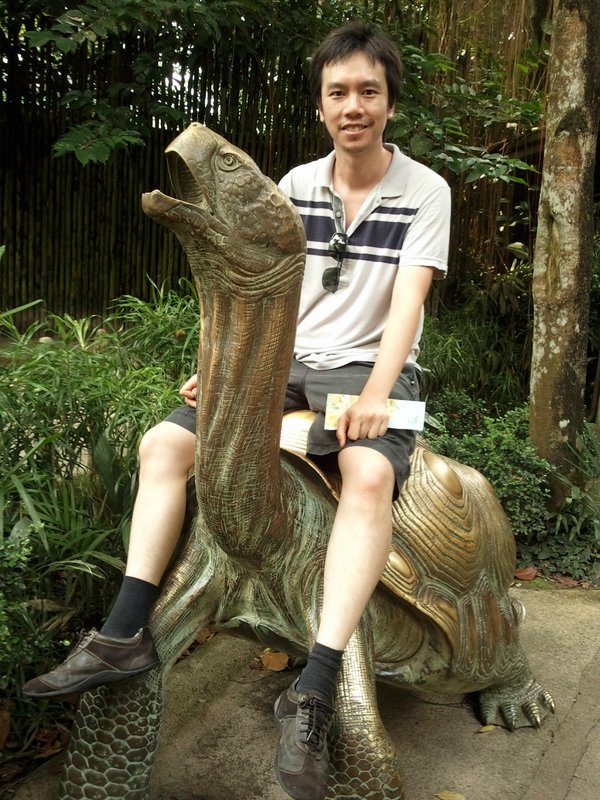 Turtle ride
