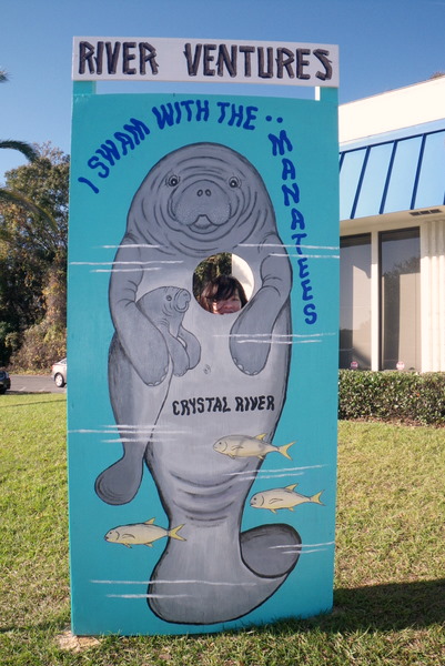 I swam with the manatees!