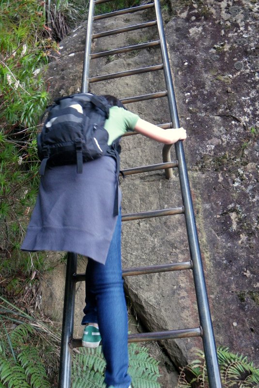 Heading up ...
