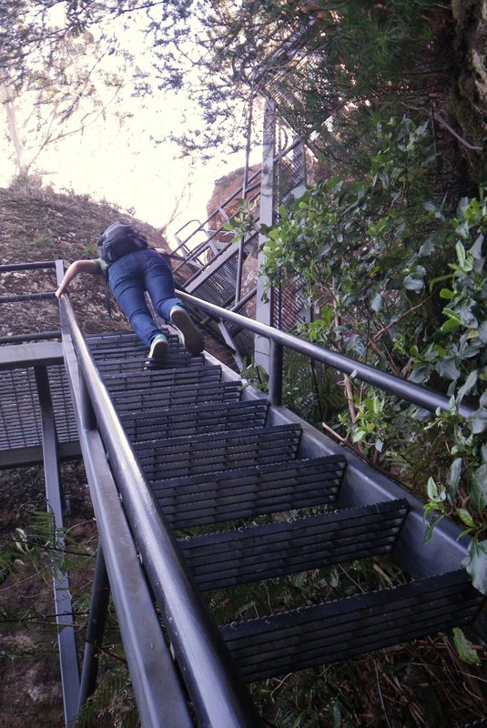and up ...