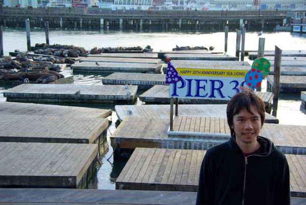 Seals on Pier 39