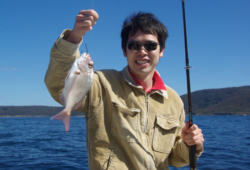 Snapper from the reef